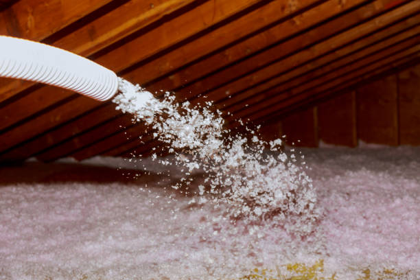 Best Insulation Installation Services in Necedah, WI