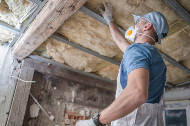 Best Types of Insulation in Necedah, WI