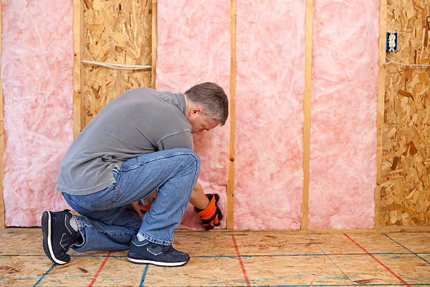 Best Commercial Insulation in Necedah, WI